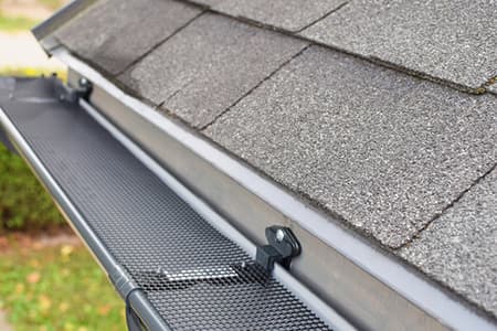 Gutter Cleaning